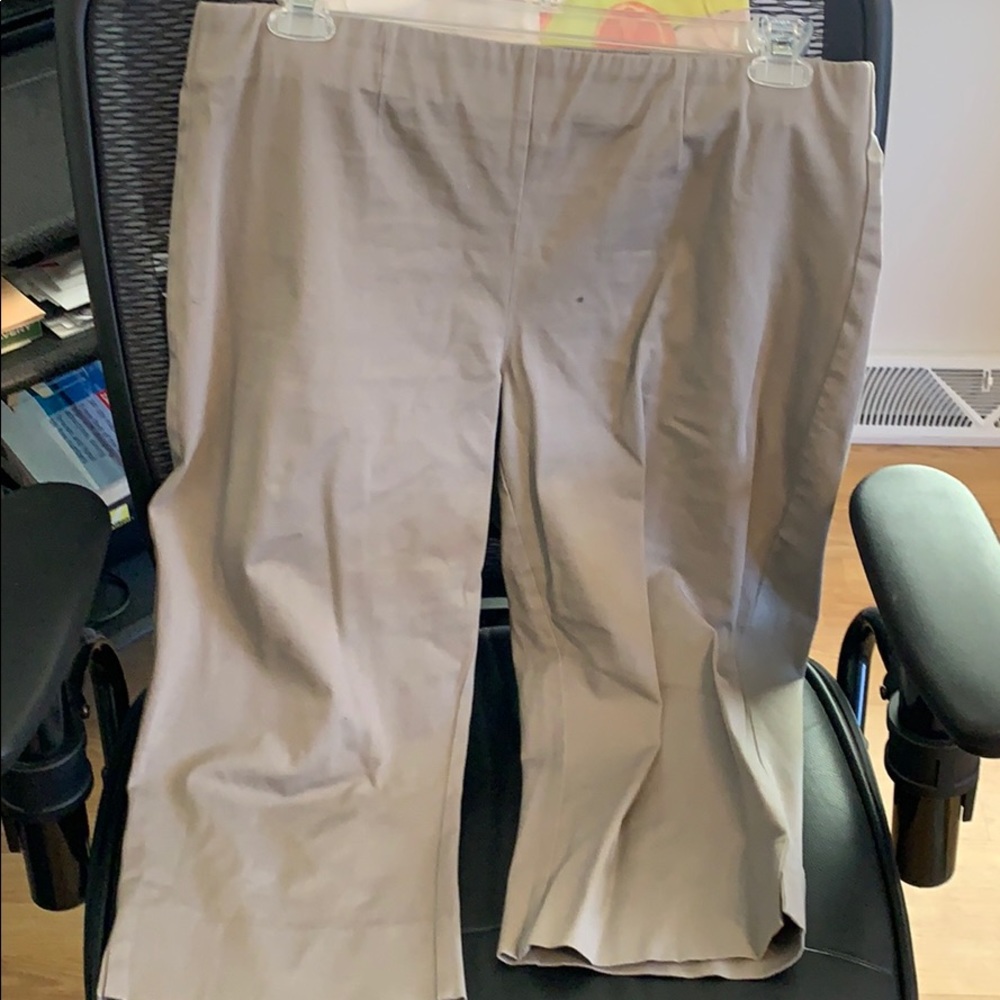 Inc Capris - image 1